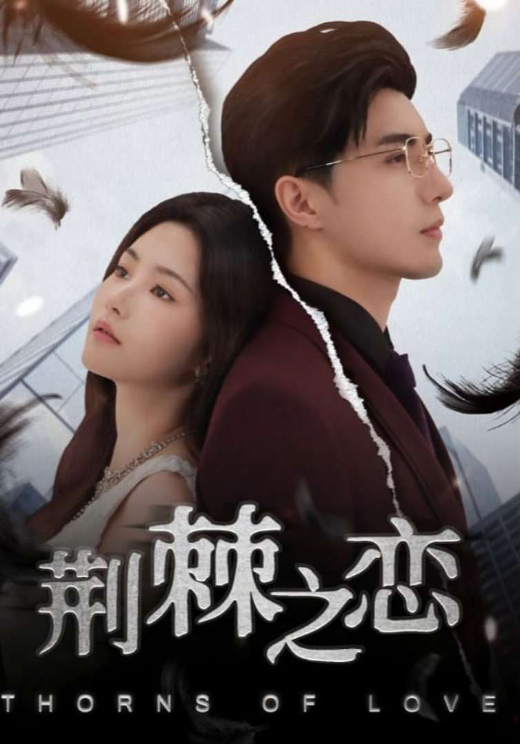 荆棘之恋 - 第60集完结_主创访谈_可怡短剧-影影网_主创访谈